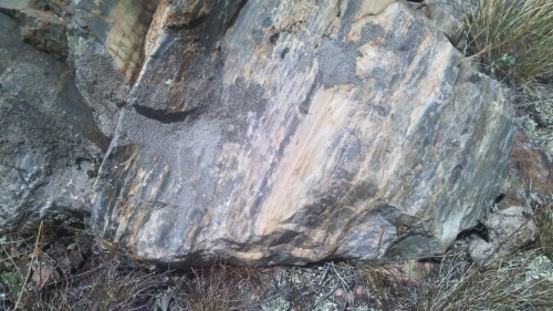 Гигантские зелёные валуны для ландшафтного дизайна весом более 5 тонн купить в Евпатории